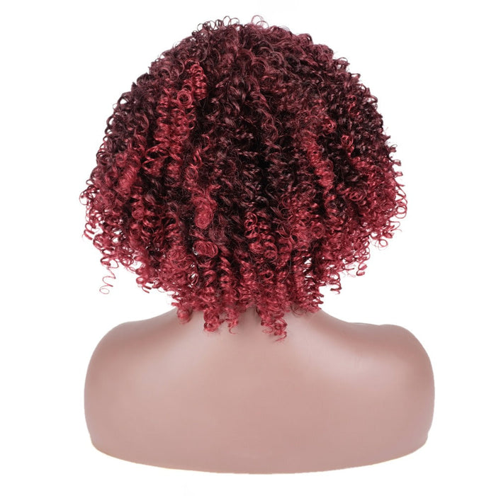 Short Curly Colored Synthetic Human Hair Wig