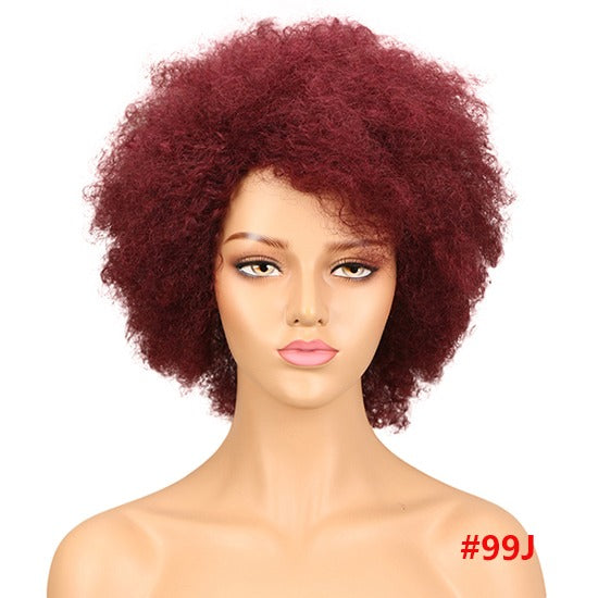 Human Hair Wigs for Small Heads 100% Remy Afro Curly