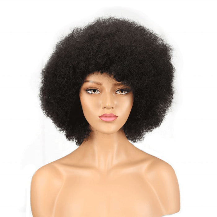 Human Hair Wigs for Small Heads 100% Remy Afro Curly