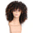 Synthetic Curly Short Mix Brown Wig for Women