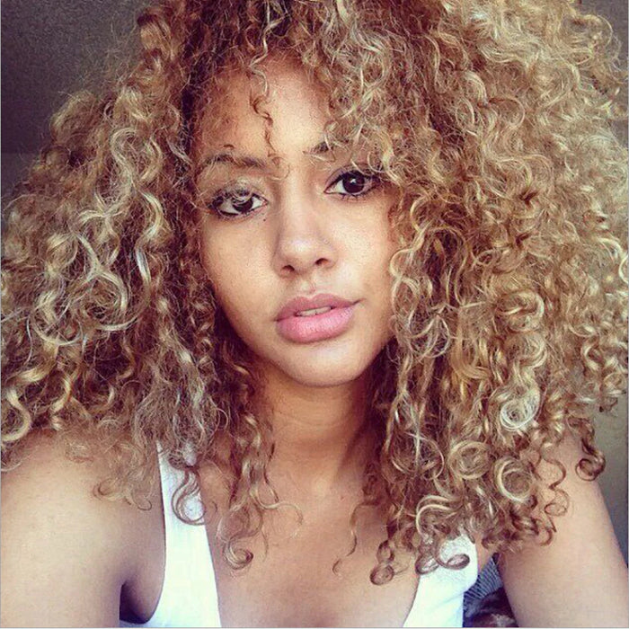 Synthetic Curly Short Brown with Blonde Wig for Women