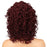 Curly Remy Lace Front Elastic Human Hair Wigs