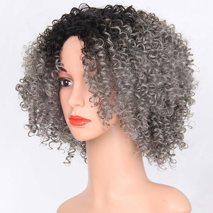 Synthetic Curly Short Wig for Women