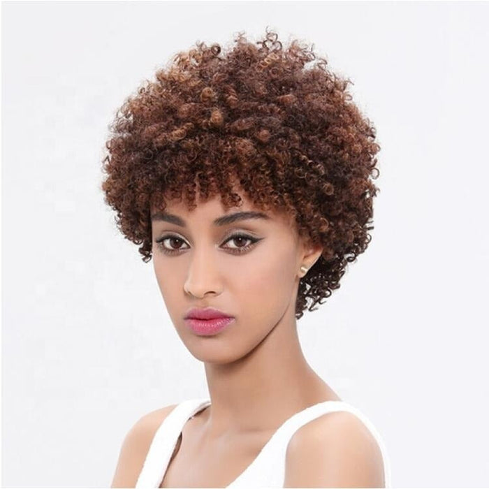 Cheap Popular Glueless Remy Curly Women's Afro Kinky Human Hair Wig