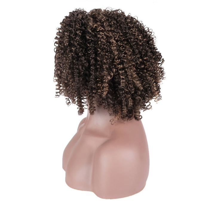 Short Curly Colored Synthetic Human Hair Wig