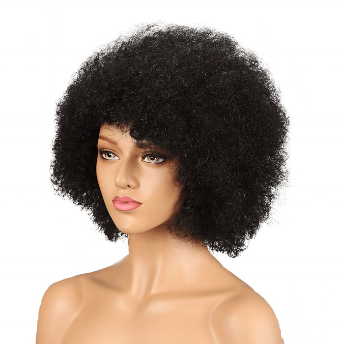 Human Hair Wigs for Small Heads 100% Remy Afro Curly