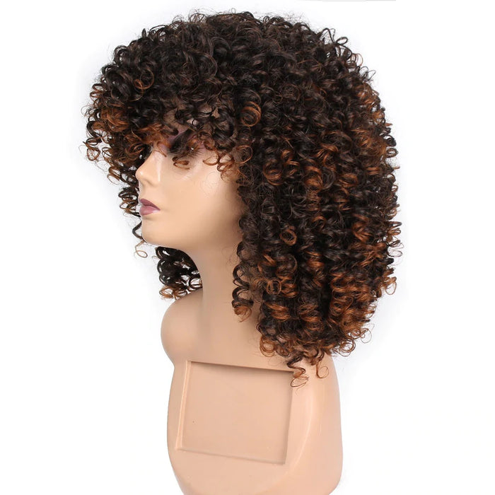 Synthetic Curly Short Mix Brown Wig for Women