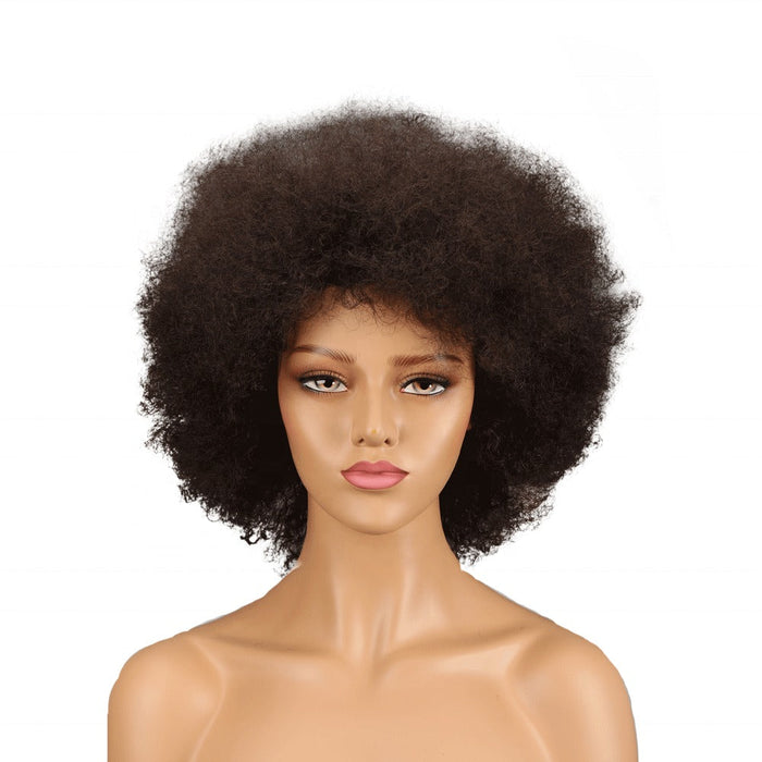 Human Hair Wigs for Small Heads 100% Remy Afro Curly