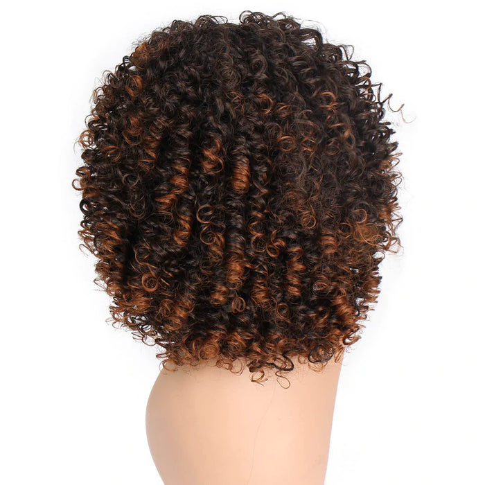 Synthetic Curly Short Mix Brown Wig for Women