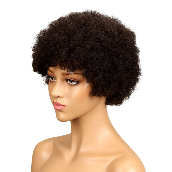 Colored Glueless 100% Women Short Brazilian Human Hair Wigs