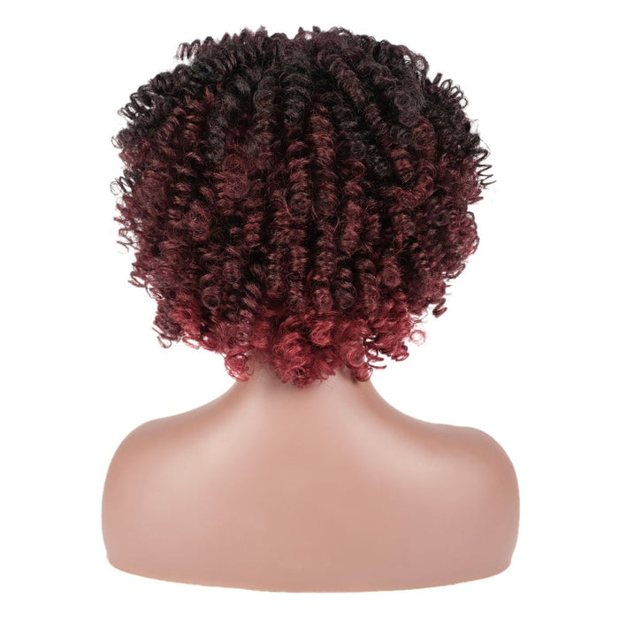 Synthetic Short Curly Without Lace Human Hair Wig