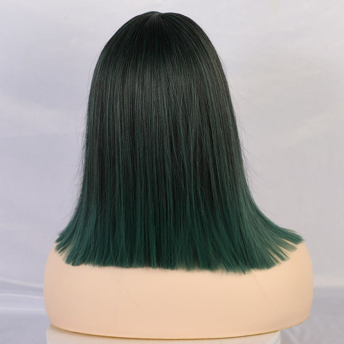 High Temperature Resistant Fiber Straight Human Hair Wig