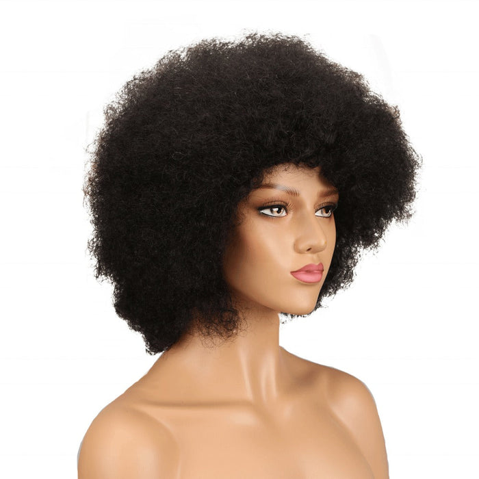 Human Hair Wigs for Small Heads 100% Remy Afro Curly