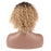 New Synthetic Short Curly without Lace Human Hair Wig