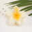 Spring summer cute extra large xl big candy hawaiian daisy hair claws clip accessories plumeria flower frangipani hair claw