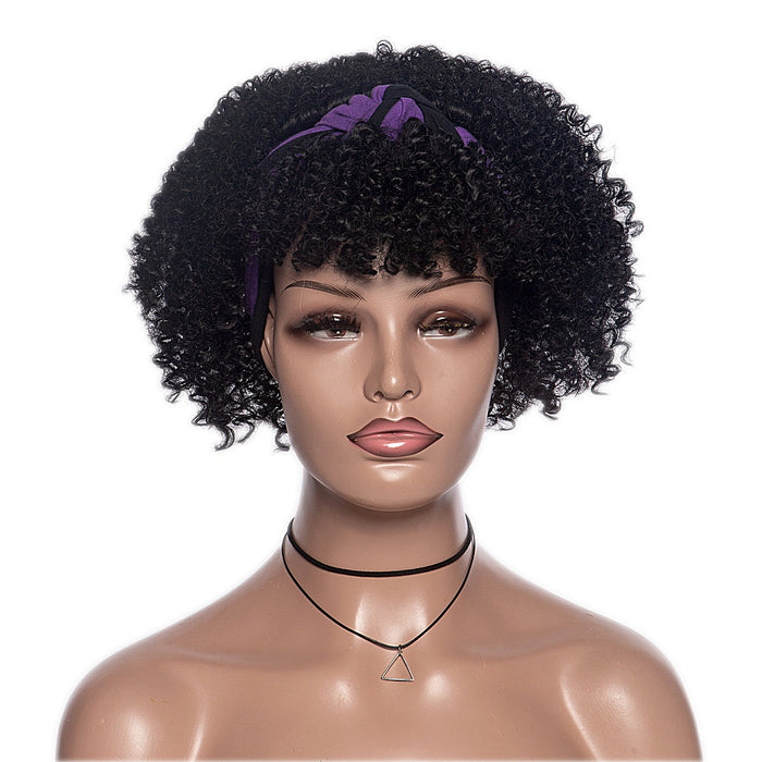 Hot Sexy Kinky Curly Wigs with Purple&Black Headband