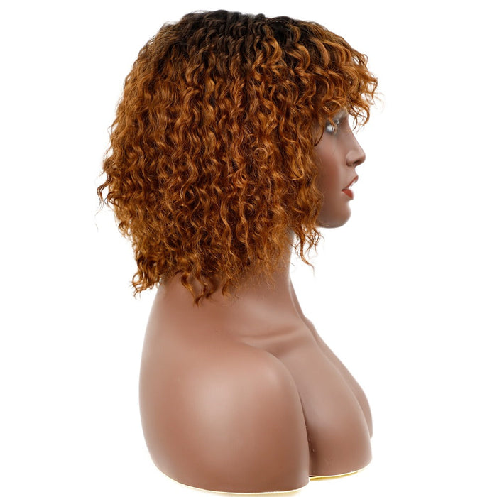 Curly Synthetic Classic Full Quality Machine Made Human Hair Wig