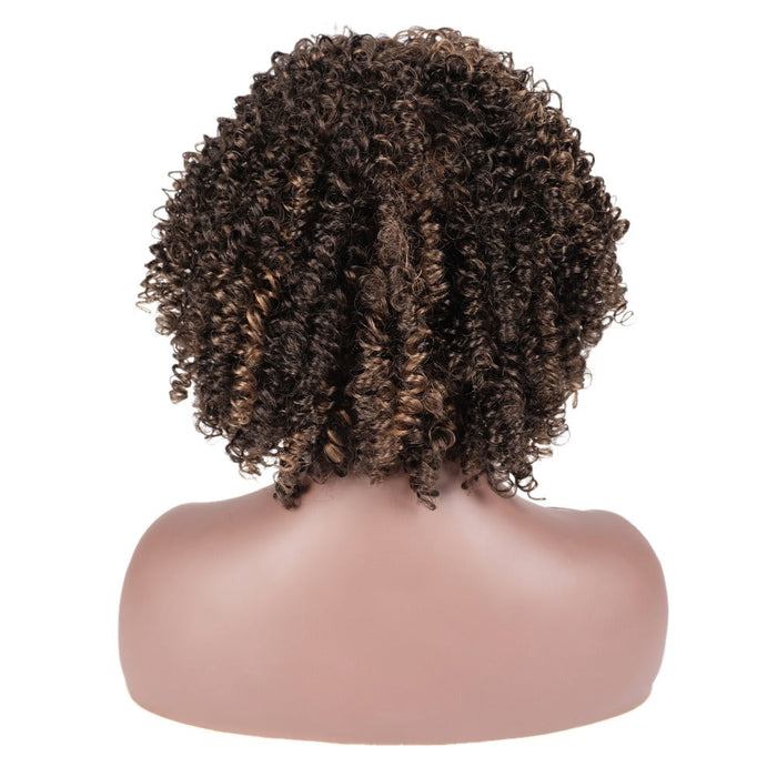 Short Curly Colored Synthetic Human Hair Wig