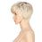 Popular Fiber Synthetic Short Human Hair Wig