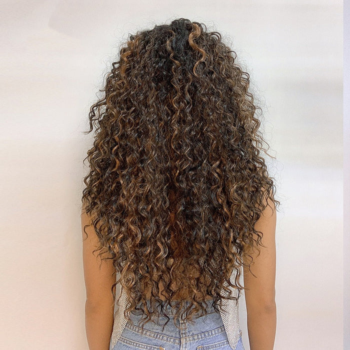 Long Kinky Curly Middle Part Highlight Lace Synthetic Human Hair Wig