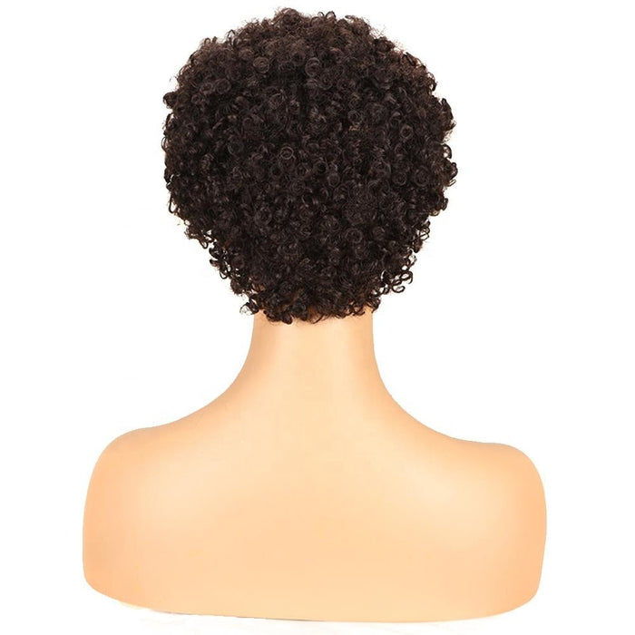 Cheap Popular Glueless Remy Curly Women's Afro Kinky Human Hair Wig