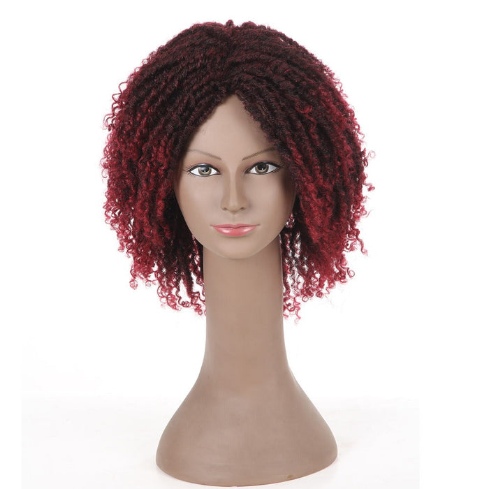 Curly Extensions Braided Fiber Curly Human Hair Wig