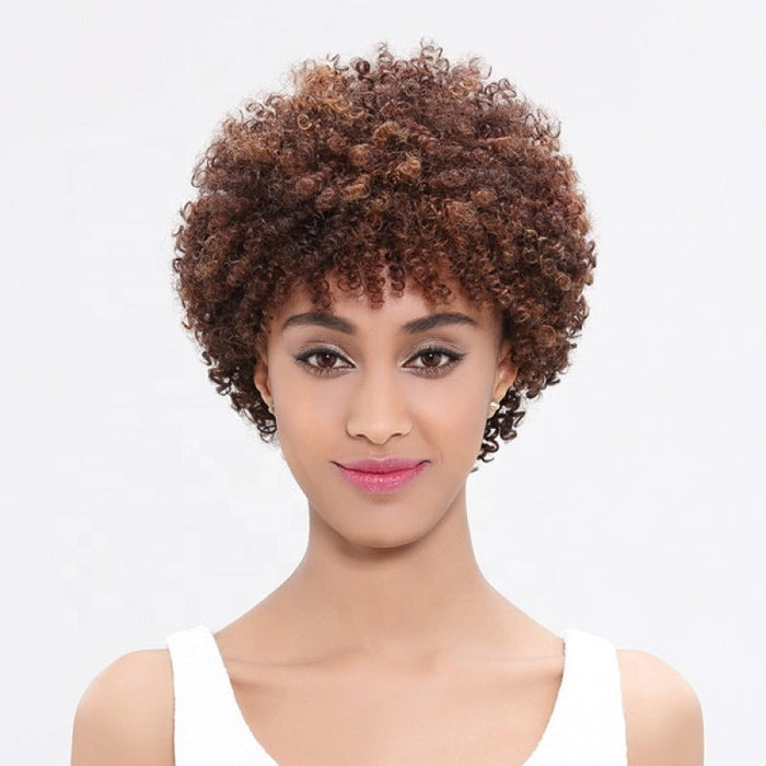 Cheap Popular Glueless Remy Curly Women's Afro Kinky Human Hair Wig