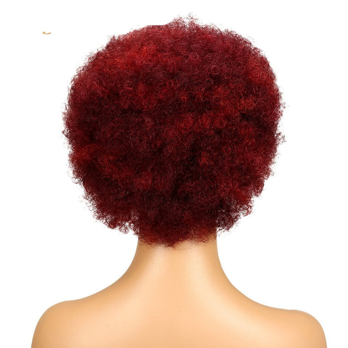 Colored Glueless 100% Women Short Brazilian Human Hair Wigs