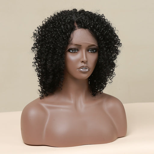 Black Kinky Curly Synthetic Lace Front Wigs for Black Women Curly Aligned Lace Front Wig Curly Lace Front Wig