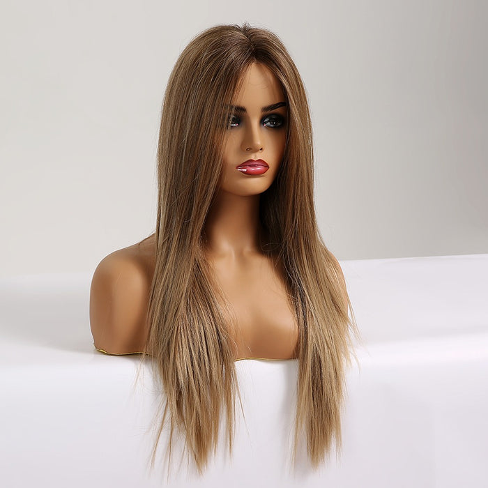 Front Lace Wig Synthetic Long Silky Straight Hair Synthetic Lace Front Wigs for Women