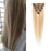 Raw virgin cuticle aligned human hair extension clip in