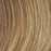 The Good Life | Lace Front & Monofilament Human Hair Wig by Raquel Welch