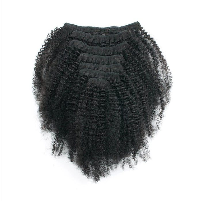 Wholesale 100% virgin afro kinky curly human hair clip ins