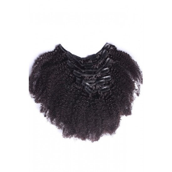 Wholesale 100% virgin afro kinky curly human hair clip ins